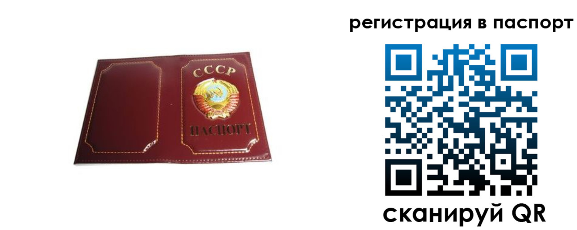 прописка 2025 в Родниках